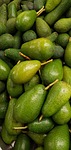 avocado, persea americana, fruits