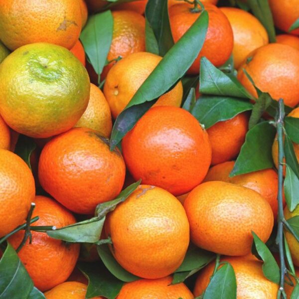 mandarin