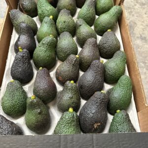 Pack Hass Avocado -30 pieces