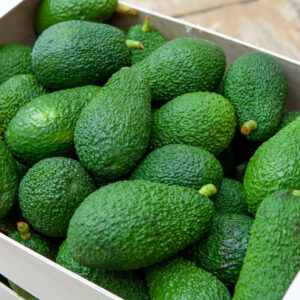 Pack Hass Avocado -100 pieces