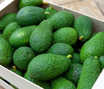 Avocado – Hass (±200 g each)