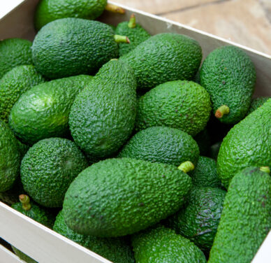 Avocado – Hass (±200 g each)