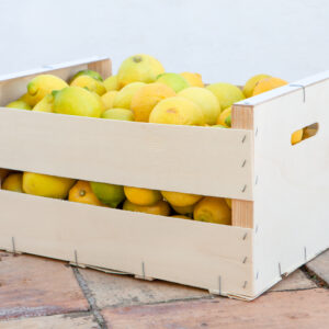 Lemon- 10 kg pack