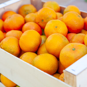 Mandarin- ClemeNules variety - 10kg pack