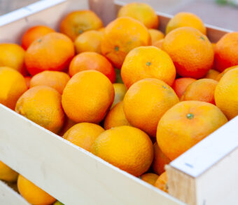 Mandarin – Clemenules