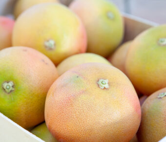 Grapefruit- 15kg Pack