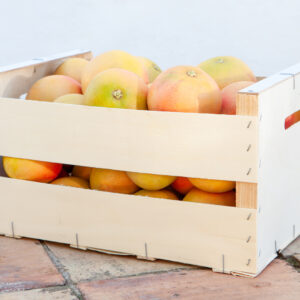 Grapefruit- 10kg Pack