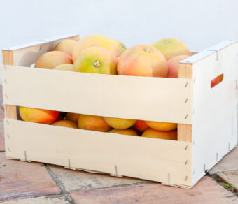 Grapefruit- 15kg Pack