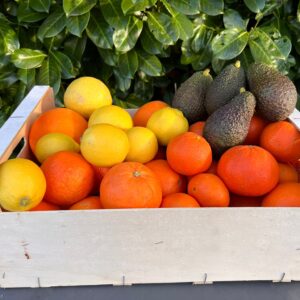 Mixed Fruit Pack 8 - Blood Oranges, Oranges, Mandarins, Lemons, Grapefruit and Avocados