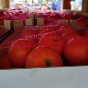 Mandarin- Clemenvilla  variety  - 2,3 kg Pitufo box