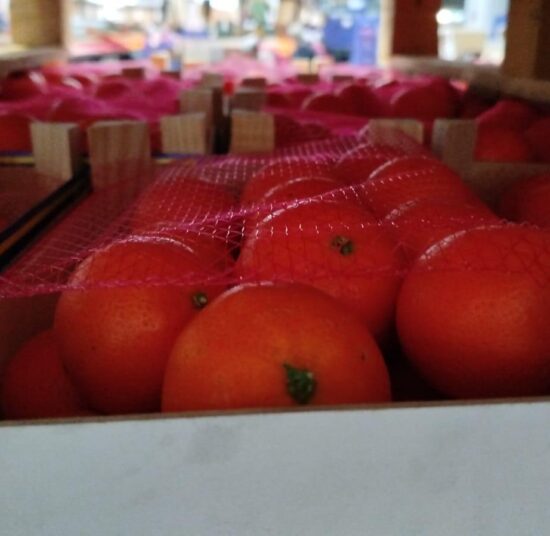 Mandarin- Clemenvilla  variety  - 2,3 kg Pitufo box