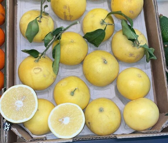 Box of grapefruit