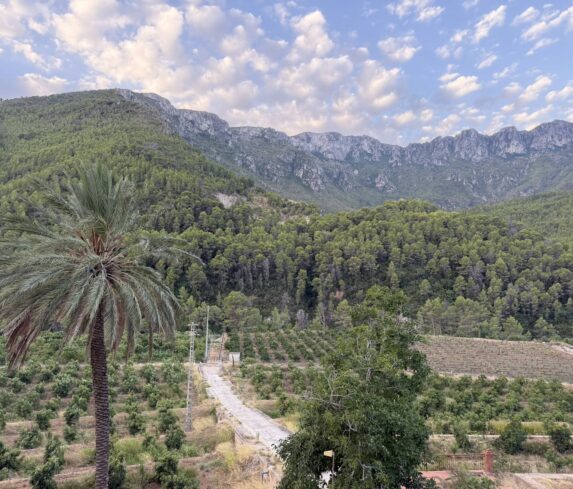 Segon Pont valley with the palm and the mountains